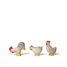 Lade das Bild in den Galerie-Viewer, Ostheimer Auswahl Hühner